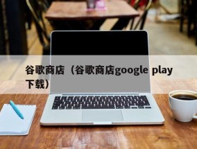谷歌商店（谷歌商店google play下载）
