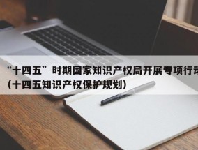 “十四五”时期国家知识产权局开展专项行动（十四五知识产权保护规划）