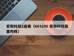 宏和科技2连板（603256 宏和科技股票咋样）