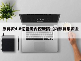 原募资4.6亿查出内控缺陷（内部募集资金）