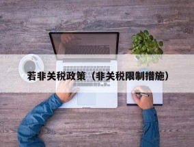 若非关税政策（非关税限制措施）