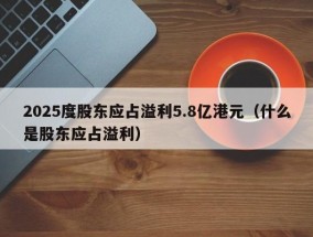 2025度股东应占溢利5.8亿港元（什么是股东应占溢利）
