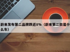 蔚来发布第二品牌跌近8%（蔚来第二款是什么车）
