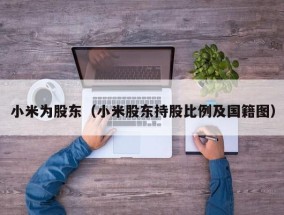 小米为股东（小米股东持股比例及国籍图）