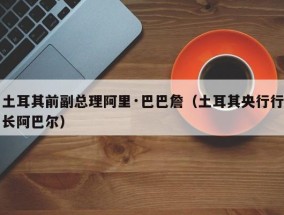 土耳其前副总理阿里·巴巴詹（土耳其央行行长阿巴尔）