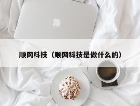 顺网科技（顺网科技是做什么的）