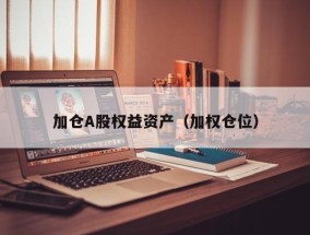 加仓A股权益资产（加权仓位）