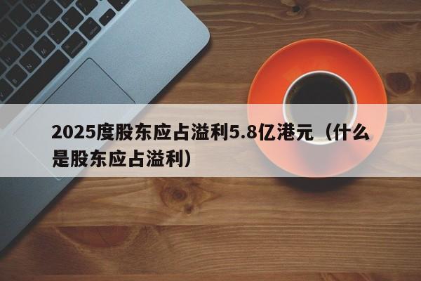 2025度股东应占溢利5.8亿港元(什么是股东应占溢利)
