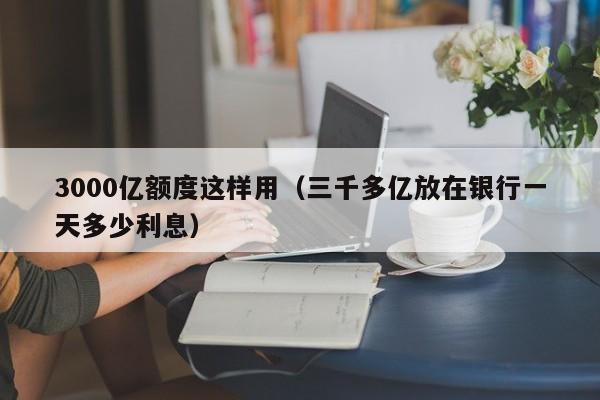 3000亿额度这样用(三千多亿放在银行一天多少利息)