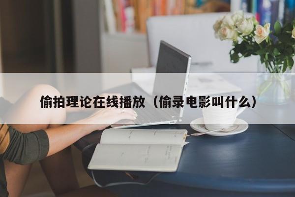 偷拍理论在线播放(偷录电影叫什么)