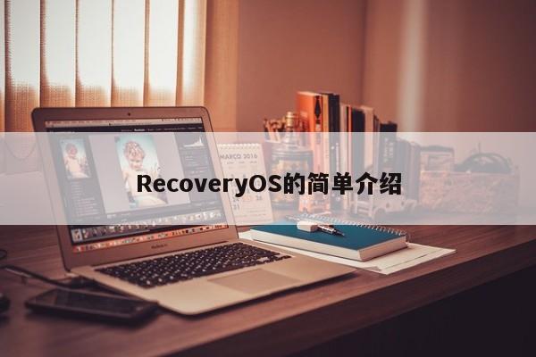 RecoveryOS的简单介绍