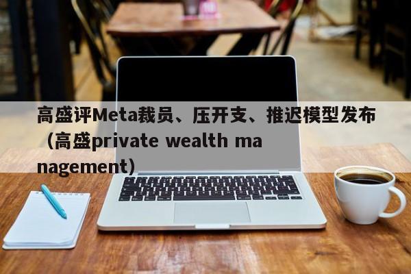 高盛评Meta裁员、压开支、推迟模型发布(高盛private wealth management)