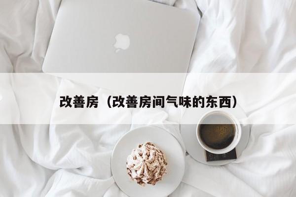 改善房(改善房间气味的东西)